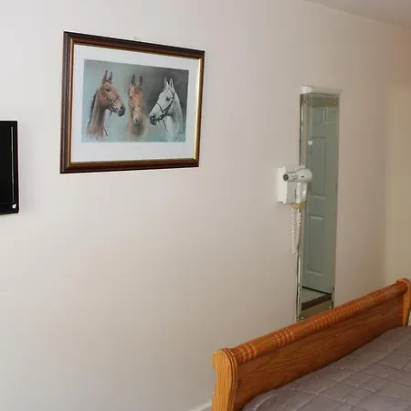 Bed & Breakfast Gardenfield House H91vh02